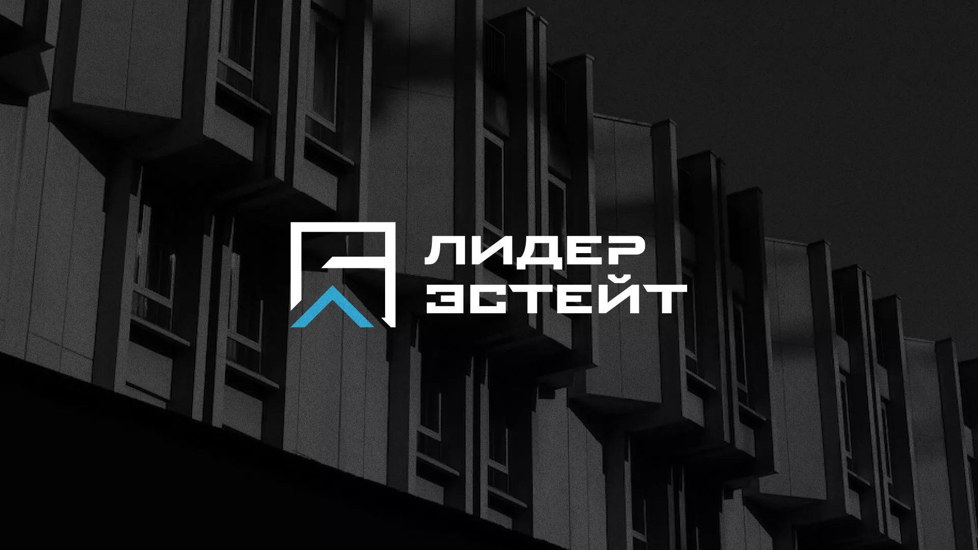 Разработка логотипа агентства недвижимости «Лидер Эстейт» в Новокуйбышевске